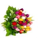 Bukiet 35 kolorowych tulipanów <br> CENA  150 zł