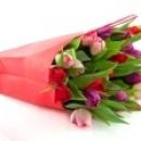 Bukiet 21 tulipanów w torbie <br> CENA  120 zł